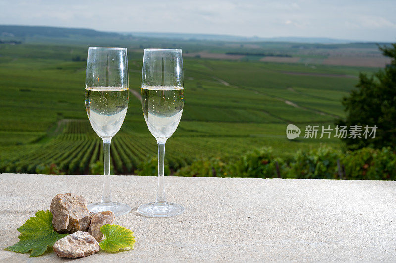 在法国香槟市维尔泽内附近的蒙塔涅德兰斯(Montagne de Reims)，一杯杯的香槟，葡萄园土壤中的火石，以及顶级葡萄园的美景